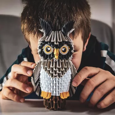 Origami 3D - Sowa/Owl Alexander