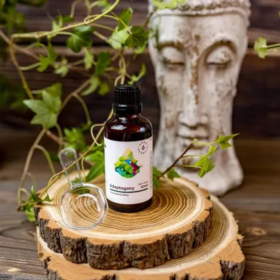 Aura Herbals Adaptogeny - 100% naturalne ekstrakty ro�linne suplement diety 50 ml