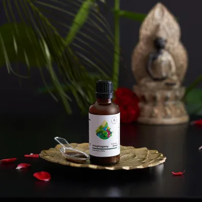 Aura Herbals Adaptogeny - 100% naturalne ekstrakty ro�linne suplement diety 50 ml