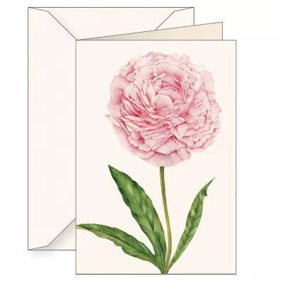 Tassotti Karnet B6 + koperta 6141 Piwonia chi�ska