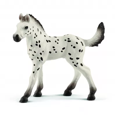 rebi rasy Knapstrupper Foal