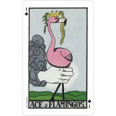 The Wonderland Tarot, karty w metalowym pude�ku