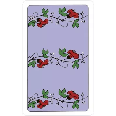 The Wonderland Tarot, karty w metalowym pude�ku