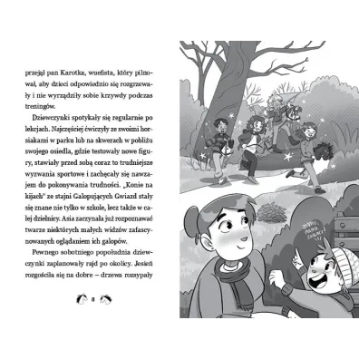 Skoki przez przeszkody. Hobby horsing, czyli przyja�� w galopie. Tom 2