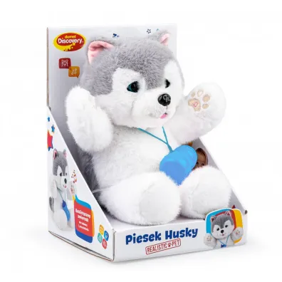 Piesek Husky Dumel