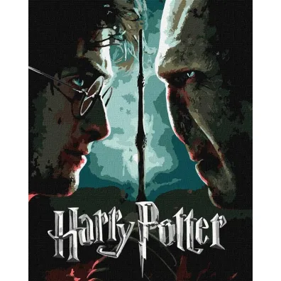Ideyka Malowanie po numerach - Harry i Voldemort metal