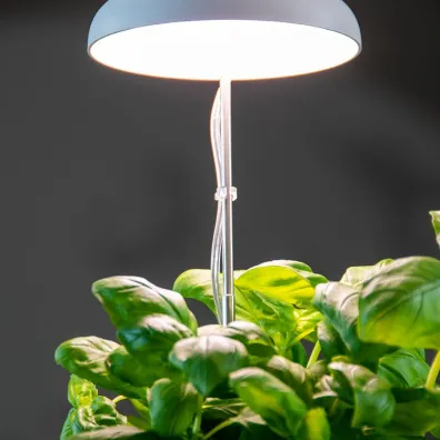 Esschert Design Lampa LED do wzrostu rolin regulowana