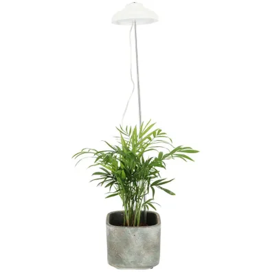 Esschert Design Lampa LED do wzrostu rolin regulowana