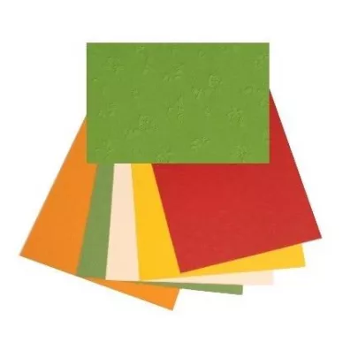 Galeria Hobby Karton wyt�aczane r�e 220g, 25x35cm, 5 arkuszy
