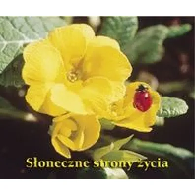 S�oneczne strony �ycia. Pere�ka 129