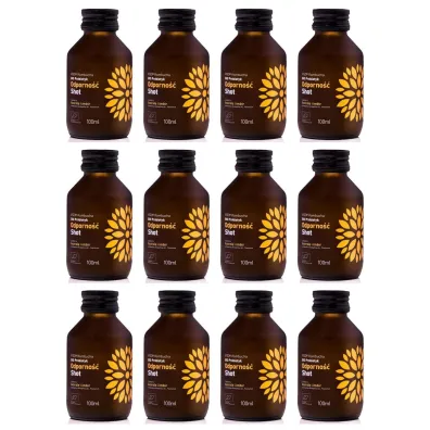 Vigo Yoko Shot kombucha odporno�� bezglutenowy Zestaw 12 x 100 ml Bio