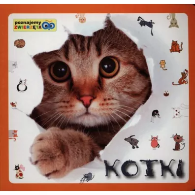 Poznajemy zwierz�ta - Kotki