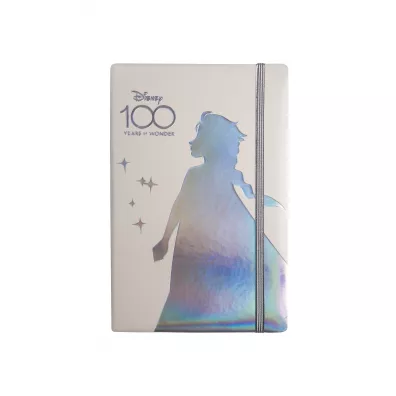 Coolpack Opal Collection Notes A5 Disney 100 z gumk� linia 80 kartek