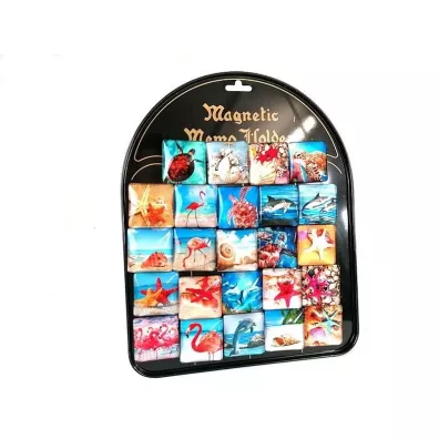 Magnesy morskie (24szt)