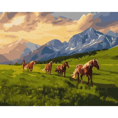 Ideyka Malowanie po numerach - Wolny duchem 40x50cm