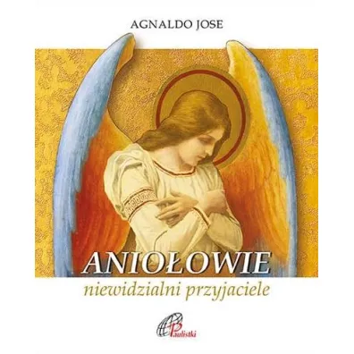 Anio�owie, niewidzialni przyjaciele - Agnaldo Jose