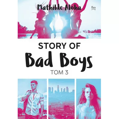Story of Bad Boys. Tom 3 - Mathilde Aloha