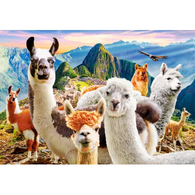 Puzzle 1000 el. Llamas Selfie Castorland