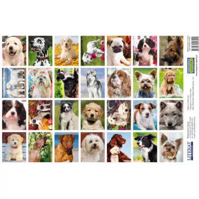 Literat Naklejki psy