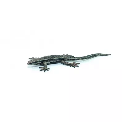 Jaszczurka �yworodna