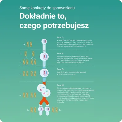 NOWA Biologia na czasie 1. Smartbook. Liceum i technikum. Zakres podstawowy