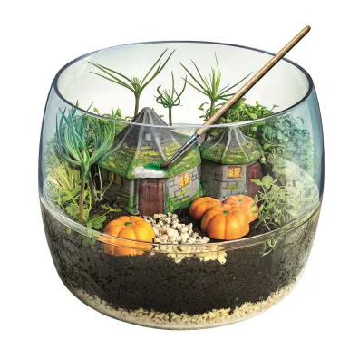 Harry Potter terrarium