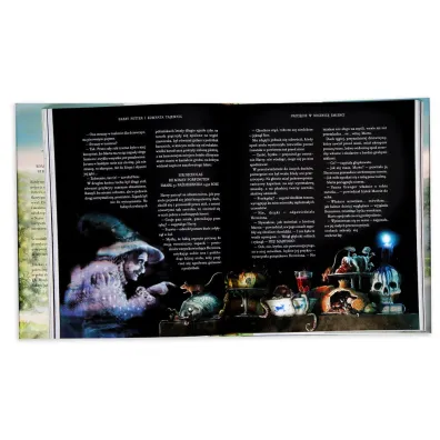 Harry Potter i Komnata Tajemnic. Harry Potter. Tom 2. Wydanie ilustrowane