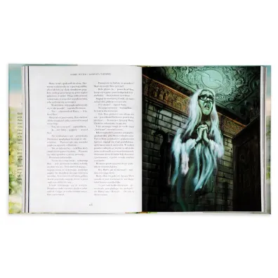 Harry Potter i Komnata Tajemnic. Harry Potter. Tom 2. Wydanie ilustrowane