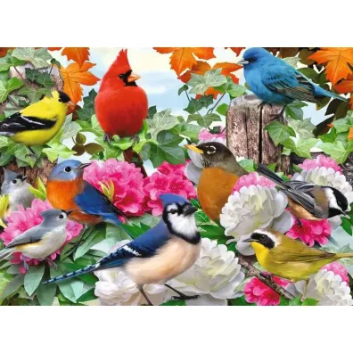 Puzzle 500 el. 2D Ptaki ogrodowe Ravensburger