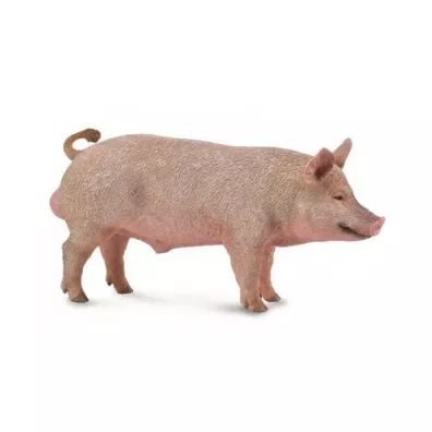 Knur
