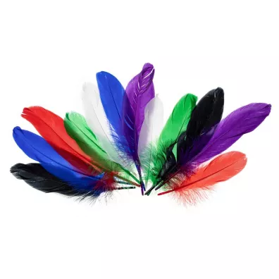 Brewis Pi�rka g�sie jaskrawe 15-20cm