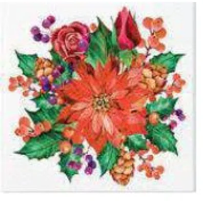 Paw Serwetka BN Decor cocktail Poinsettia With Cones 25x25 20szt./op.