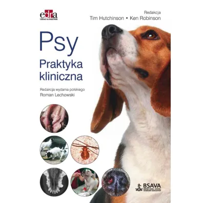 Psy. Praktyka kliniczna - Ken Robinson, Tim Hutchinson