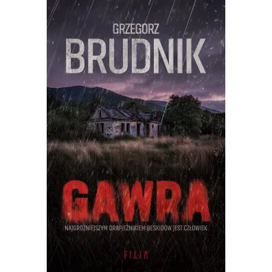 Gawra. Wielkie Litery - Grzegorz Brudnik