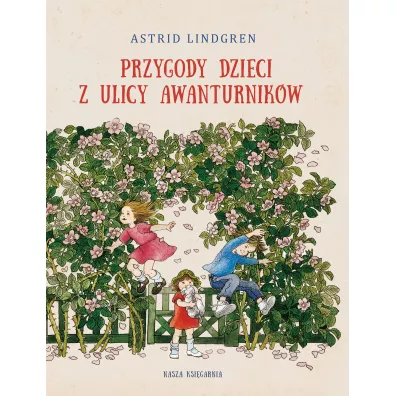 Przygody dzieci z ulicy Awanturnikw - Astrid Lindgren