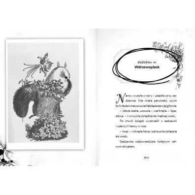 Zemsta wrednej kocicy. Dziwnob�r. Tom 1
