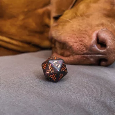 DOGS Dice Set: Luna, kostki do gry, czarne z fioletowym brokatem Q-Workshop