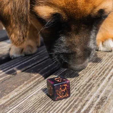 DOGS Dice Set: Luna, kostki do gry, czarne z fioletowym brokatem Q-Workshop