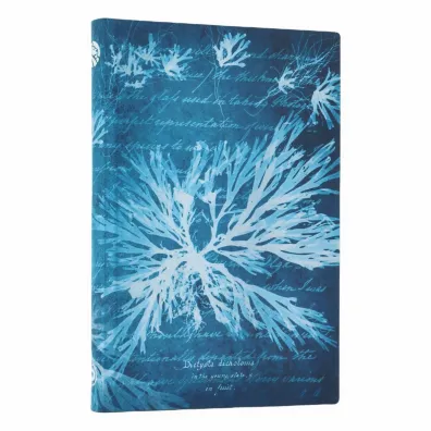Anna Atkins` Cyanotypes Notatnik linia Sea Flowers mini