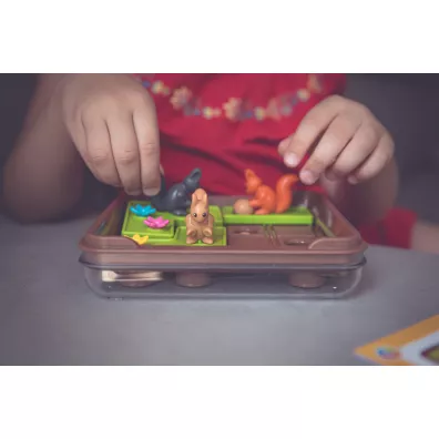 Smart Games. Wiewi�rki Atakuj�! (PL) IUVI Games