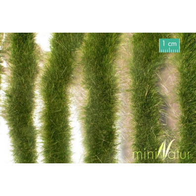 MiniNatur Tuft - Długa wczesnojesienna trawa w paskach 252 cm