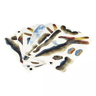 Puzzle 3D 43 el. Dinozaury - Pteranodon Educa