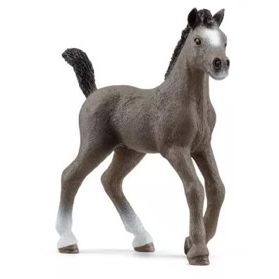 �rebak Rasy Cheval de Selle Francais SLH13957