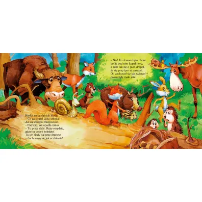 Nowy domek wiewi�rki