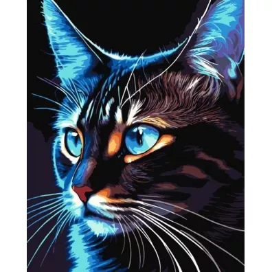 Qbee Malowanie po numerach - Cosmo - cat 40x50cm