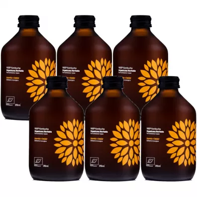 Vigo Yoko Kombucha z imbirem i acerol bezglutenowa Zestaw 6 x 315 ml Bio