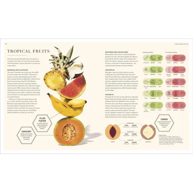 Science of Flavour