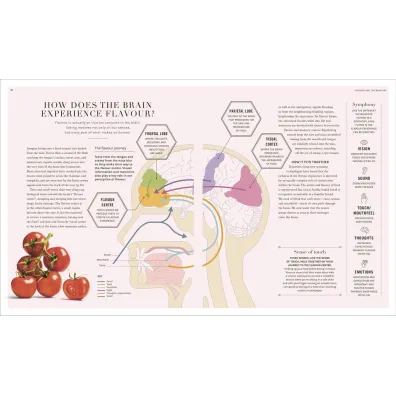 Science of Flavour