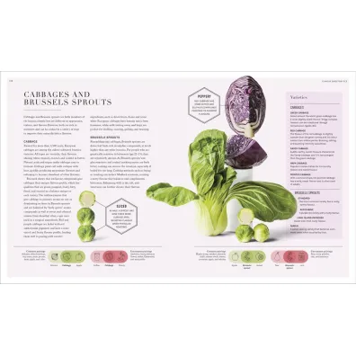 Science of Flavour