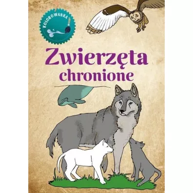 Kolorowanka Zwierz�ta chronione - Katarzyna Kopiec-Sekieta